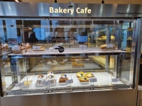 강문 346카페스토리 - ♣ 일반사진방 - 7남매 가족 강문 346카페스토리