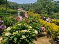 율봄 식물원 - ♣ 일반사진방 - 7남매 가족 율봄 식물원