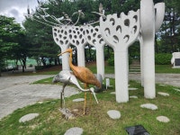 DMZ평화의 길 12코스(통일이음길) - ‥정기산행 사진방 - 정산악회홈 DMZ평화의 길 12코스(통일이음길)
