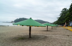 25,09,13,서해랑길1코스(땅끝항-탑-송호해변-황토나라-송지면사무소) - ‥정기산행 사진방 - 정산악회홈 25,09,13,서해랑길1코스(땅끝항-탑... 