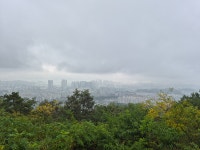 [대구와룡산] 대구달서구 (와룡산300m) 2026.08.18일산행 - 일반산행/근교산행(산행기) - 대구지맥클럽 [대구와룡산] 대구달서구... 