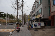 [봄이오는와룡산] 대구 달서구 (자택~와룡산~상리봉~용미봉~연산홍군락지~자택) 2026.04.03일산행 - 일반산행/근교산행기 - 대구지맥클럽... 