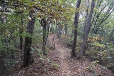 [천마지맥3구간] 경기도 남양주시 (마치고개~합수점) 2025.10.26일산행 - 천마지맥(완) - 대구지맥클럽 [천마지맥3구간] 경기도 남양주시... 