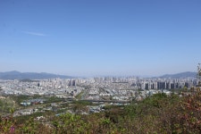 [아름다운와룡산] 대구 달서구 (와룡산 300m) 2026.04.16일산행 - 일반산행/근교산행(산행기) - 대구지맥클럽 [아름다운와룡산] 대구... 