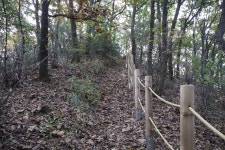 [천마지맥3구간] 경기도 남양주시 (마치고개~합수점) 2025.10.26일산행 - 천마지맥(완) - 대구지맥클럽 [천마지맥3구간] 경기도 남양주시... 