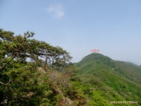 [운문지맥2구간] 경남밀양시 (오치고개~합수점) 2022.06.22일산행 - 운문지맥(완) - 대구지맥클럽 [운문지맥2구간] 경남밀양시 (오치고개... 