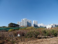 [병풍지맥3구간] 전남 장성군 (와곡고개~합수점) 2022.11.19일산행 - 병풍지맥(완) - 대구지맥클럽 [병풍지맥3구간] 전남 장성군 (와곡고개... 