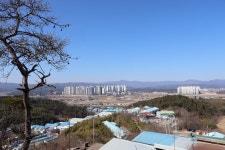 [비학지맥2구간] 경북 포항시 (도음고개~우목항) 2024.02.17일산행 - 비학지맥(완) - 대구지맥클럽 [비학지맥2구간] 경북 포항시 (도음고개... 