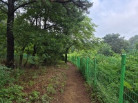 [대구와룡산] 대구달서구 (와룡산300m) 2026.08.18일산행 - 일반산행/근교산행(산행기) - 대구지맥클럽 [대구와룡산] 대구달서구... 