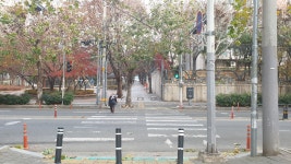 [대구와룡산] 대구 달서구 (자택~불미골쉼터~와룡산~깃대봉~상리봉~자택)... [대구와룡산] 대구 달서구 (자택~불미골쉼터~와룡산~깃대봉~상리봉~자택)