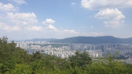 [대구와룡산] 대구달서구 (와룡산300m) 2026.06.14일 - 일반산행/근교산행(산행기) - 대구지맥클럽 [대구와룡산] 대구달서구... 