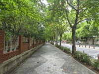 [대구와룡산자락길] 대구달서구 (와룡산300m) 2026.08.19일산행 - 일반산행/근교산행(산행기) - 대구지맥클럽 [대구와룡산자락길]... 