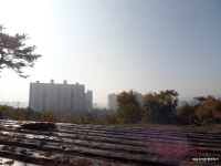 [기룡지맥2구간] 경북 영천시 (죽천고개~합수점) 2022.11.02일산행 - 기룡지맥(완) - 대구지맥클럽 [기룡지맥2구간] 경북 영천시 (죽천고개... 