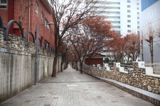 [대구와룡산] 대구 달서구 (성주사~와룡산~자택) 2025.12.20일 - 일반... [대구와룡산] 대구 달서구 (성주사~와룡산~자택) 2025.12.20일
