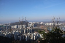 [와룡산의봄] 대구 달서구 (자택~용두봉~와룡산~깃대봉~자택) 2026.04.05일산행 - 일반산행/근교산행기 - 대구지맥클럽 [와룡산의봄] 대구... 