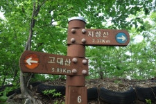 [보개지맥1구간] 강원도 철원군 (소이산~북마내미고개) 2025.05.... [보개지맥1구간] 강원도 철원군 (소이산~북마내미고개) 2025.05.25일산행