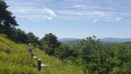 [대구와룡산] 대구달서구 (와룡산300m) 2026.05.30일 - 일반산행/근교산행(산행기) - 대구지맥클럽 [대구와룡산] 대구달서구... 