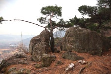 [대구와룡산] 대구 달서구 (성주사~와룡산~자택) 2025.12.20일 - 일반... [대구와룡산] 대구 달서구 (성주사~와룡산~자택) 2025.12.20일