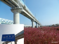 [기룡지맥2구간] 경북 영천시 (죽천고개~합수점) 2022.11.02일산행 - 기룡지맥(완) - 대구지맥클럽 [기룡지맥2구간] 경북 영천시 (죽천고개... 