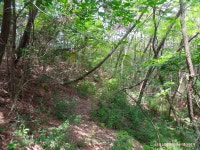 [유봉지맥1구간] 대구광역시 (팔공산~월부령) 2022.06.25일산행 - 유봉지맥(완) - 대구지맥클럽 [유봉지맥1구간] 대구광역시 (팔공산... 