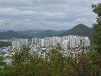 [대구와룡산자락길] 대구달서구 (와룡산300m) 2026.08.19일산행 - 일반산행/근교산행(산행기) - 대구지맥클럽 [대구와룡산자락길]... 