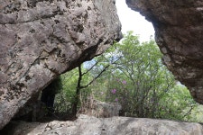 [사자지맥2구간] 전남 장흥군 (자울재~가지재) 2025.04.27일산행 - 사자지맥(완) - 대구지맥클럽 [사자지맥2구간] 전남 장흥군 (자울재... 