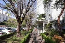 [와룡산의봄] 대구 달서구 (자택~용두봉~와룡산~깃대봉~자택) 2026.04.05일산행 - 일반산행/근교산행기 - 대구지맥클럽 [와룡산의봄] 대구... 