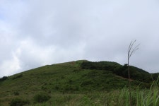 [블랙야크100대명산] 경기도가평군 (유명산864m) 2026.07.11일산행 - 블랙야크100대명산종주 - 대구지맥클럽 [블랙야크100대명산]... 
