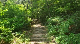 [대구와룡산] 대구달서구 (와룡산300m) 2026.06.14일 - 일반산행/근교산행(산행기) - 대구지맥클럽 [대구와룡산] 대구달서구... 