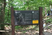 [홀대모봄모임2일차] 경북 문경시 (대야산산행) 2025.06.01일 - 일반/근교산행(산행기) - 대구지맥클럽 [홀대모봄모임2일차] 경북 문경시... 