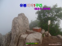 [유봉지맥1구간] 대구광역시 (팔공산~월부령) 2022.06.25일산행... 대구지맥클럽 [유봉지맥1구간] 대구광역시 (팔공산~월부령) 2022.06.25일산행