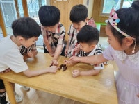 [동물나라] 파충류🦎 - * 비너스반(6세) - 별아이유치원/ 별을그리는아이어린이집 [동물나라] 파충류🦎