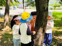 [7월 숲체험] 나무 의사 놀이를 체험해보았어요!🌳 - * 시리우스반 (7세) - 별아이유치원/ 별을그리는아이어린이집 [7월 숲체험] 나무 의사 놀이를... 