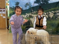 [동물체험] 동물친구들을 만나보았어요!🐑🕊️🐩🐟 - * 뮤즈반 (5세) - 별아이유치원/ 별을그리는아이어린이집 [동물체험] 동물친구들을... 