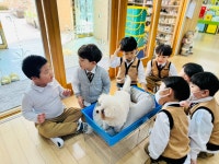 - * 비너스반(6세) - 별아이유치원/ 별을그리는아이어린이집 [3월 동물체험] 사람이 기르는 동물 친구들을 만났어요!