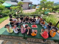 [견학] 수박 따기 체험🍉 - * 뮤즈반 (5세) - 별아이유치원/ 별을그리는아이어린이집 [견학] 수박 따기 체험🍉