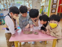 [동물나라] 굴을 파고 사는 동물들 - * 비너스반(6세) - 별아이유치원/ 별을그리는아이어린이집 [동물나라] 굴을 파고 사는 동물들