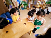 [동물나라] 도마뱀, 카멜레온, 뱀, 달팽이 - * 은하수반 (4세) - 별아이유치원/ 별을그리는아이어린이집 [동물나라] 도마뱀, 카멜레온, 뱀, 달팽이