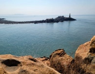 풍도 후망산 야생화 3월14일 - 3월일정 - 숲향트레킹 풍도 후망산 야생화 3월14일