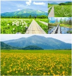 오제습4일 5월28~31일 - 오제습 오천 5월28~31일 - 숲향트레킹 오제습4일 5월28~31일