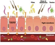 다리 통증 원인 하지정맥류 완치법 - newscast - Medicine News 다리 통증 원인 하지정맥류 완치법