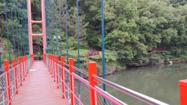 입곡군립공원 - 여행♣나들이 - 대구향토시민대학원 입곡군립공원