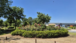 화원동산(花園東山: 대구) - 가볼만한곳 - 까제골 화원동산(花園東山: 대구)