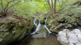 260519 정선 가리왕산(장구목이,상봉,중봉,하봉,숙암분교) - 2026년... 발자취 260519 정선 가리왕산(장구목이,상봉,중봉,하봉,숙암분교)