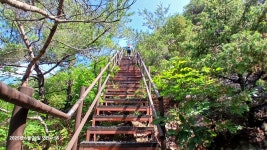 250622 문경 수리봉,성주봉,운달산 - 명산산행 일정/사진방 - 올올 산악회 250622 문경 수리봉,성주봉,운달산