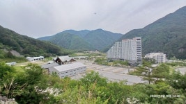 260519 정선 가리왕산(장구목이,상봉,중봉,하봉,숙암분교) - 2026년... 발자취 260519 정선 가리왕산(장구목이,상봉,중봉,하봉,숙암분교)