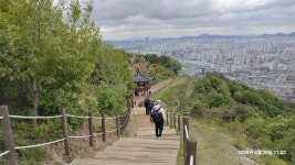 260428 인천 계양산,중구봉,천마산 - 2026년 - 낙화유수의 발자취 260428 인천 계양산,중구봉,천마산