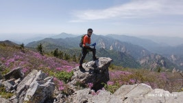 260516 인제.양양 설악산(한계령,끝청,중청,대청,오색) - 2026년 - 낙화유수의 발자취 260516 인제.양양 설악산(한계령,끝청,중청,대청,오색)