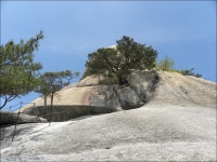 수락산(637m)/노원구 - 산행일지 - 구천골 수락산(637m)/노원구