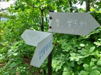 군자산 [君子山 948m], 남군자산/충북 괴산군 칠성면 - 산행일지 - 구천골 군자산 [君子山 948m], 남군자산/충북 괴산군 칠성면